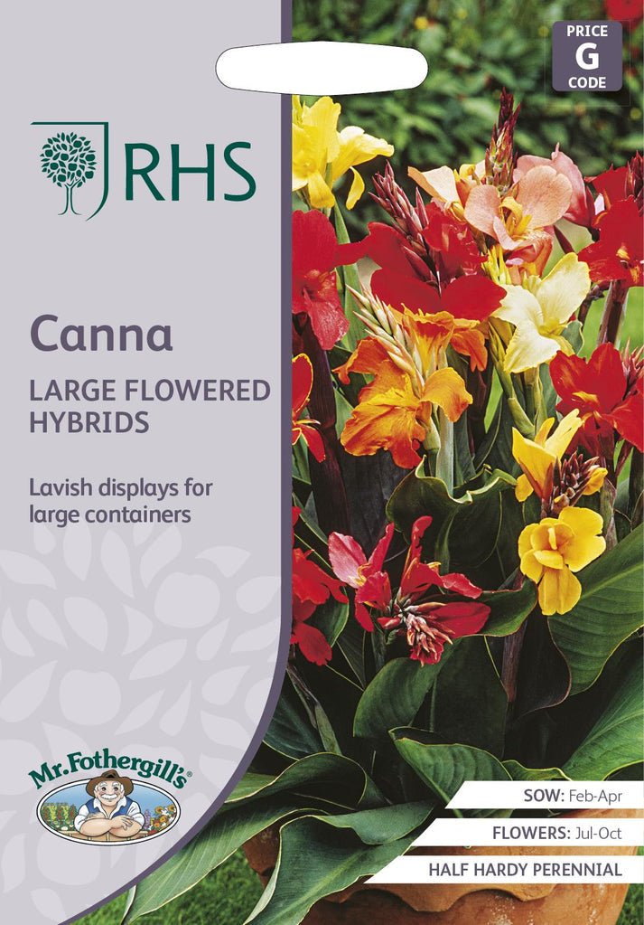 RHS Canna indica Large Flowered Hybrids Seeds 25 Seeds, Half Hardy Perennial Tropical Container Plant | Flower Seeds | 5011775386980 5011775386980 | AllotMate Essentials
