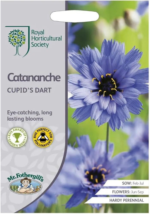 RHS Catananche Cupid’s Dart Seeds 125 Seeds, Hardy Perennial Blue Cottage Garden Flower | Flower Seeds | 5011775274065 5011775274065 | AllotMate Essentials