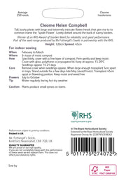 RHS Cleome Helen Campbell Seeds 250 Seeds, Half Hardy Annual White Spider Flower | Flower Seeds | 5011775274072 5011775274072 | AllotMate Essentials