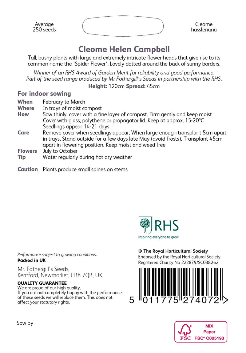 RHS Cleome Helen Campbell Seeds 250 Seeds, Half Hardy Annual White Spider Flower | Flower Seeds | 5011775274072 5011775274072 | AllotMate Essentials