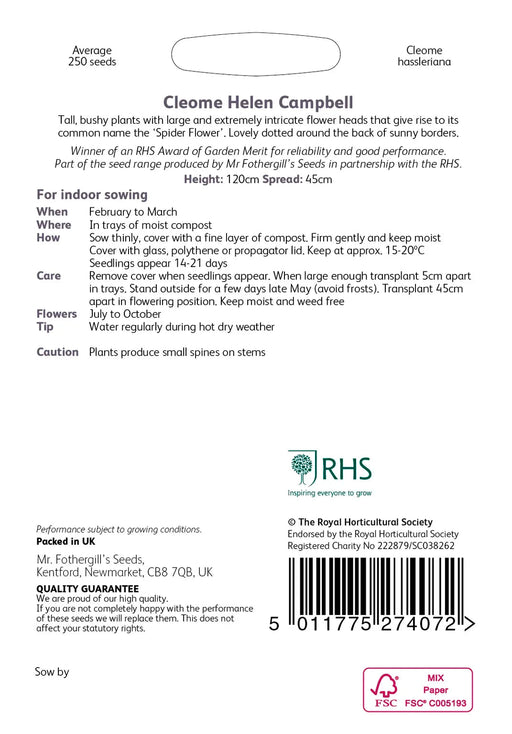 RHS Cleome Helen Campbell Seeds 250 Seeds, Half Hardy Annual White Spider Flower | Flower Seeds | 5011775274072 5011775274072 | AllotMate Essentials