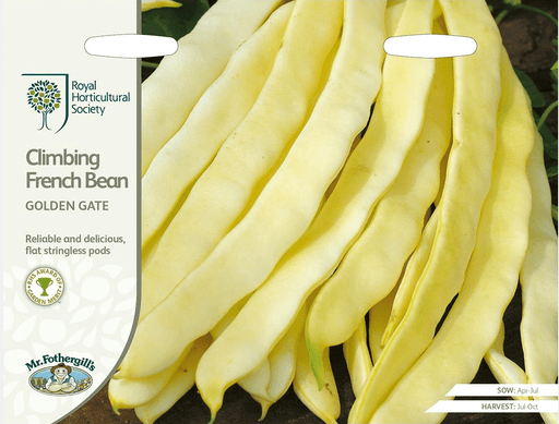 RHS Climbing French Bean Golden Gate Seeds | Vegetable Seeds | 24237 5.01178E+12 | AllotMate Essentials