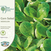RHS Corn Salad Medaillon Seeds,500 Seeds, Award Winning Leaf Vegetable Seeds for Winter Harvests | Vegetable seeds | 5011775273518 5011775273518 | AllotMate Essentials