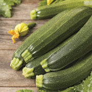 RHS Courgette Defender F1 Seeds 10 Seeds, Award Winning Vegetable Seeds for High Yield Crops | Vegetable seeds | 5011775273525 5011775273525 | AllotMate Essentials