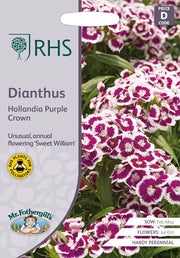 RHS Dianthus Hollandia Purple Crown Seeds 100 Seeds, Sweet William Hardy Perennial Flower | Flower Seeds | 5011775386966 5011775386966 | AllotMate Essentials