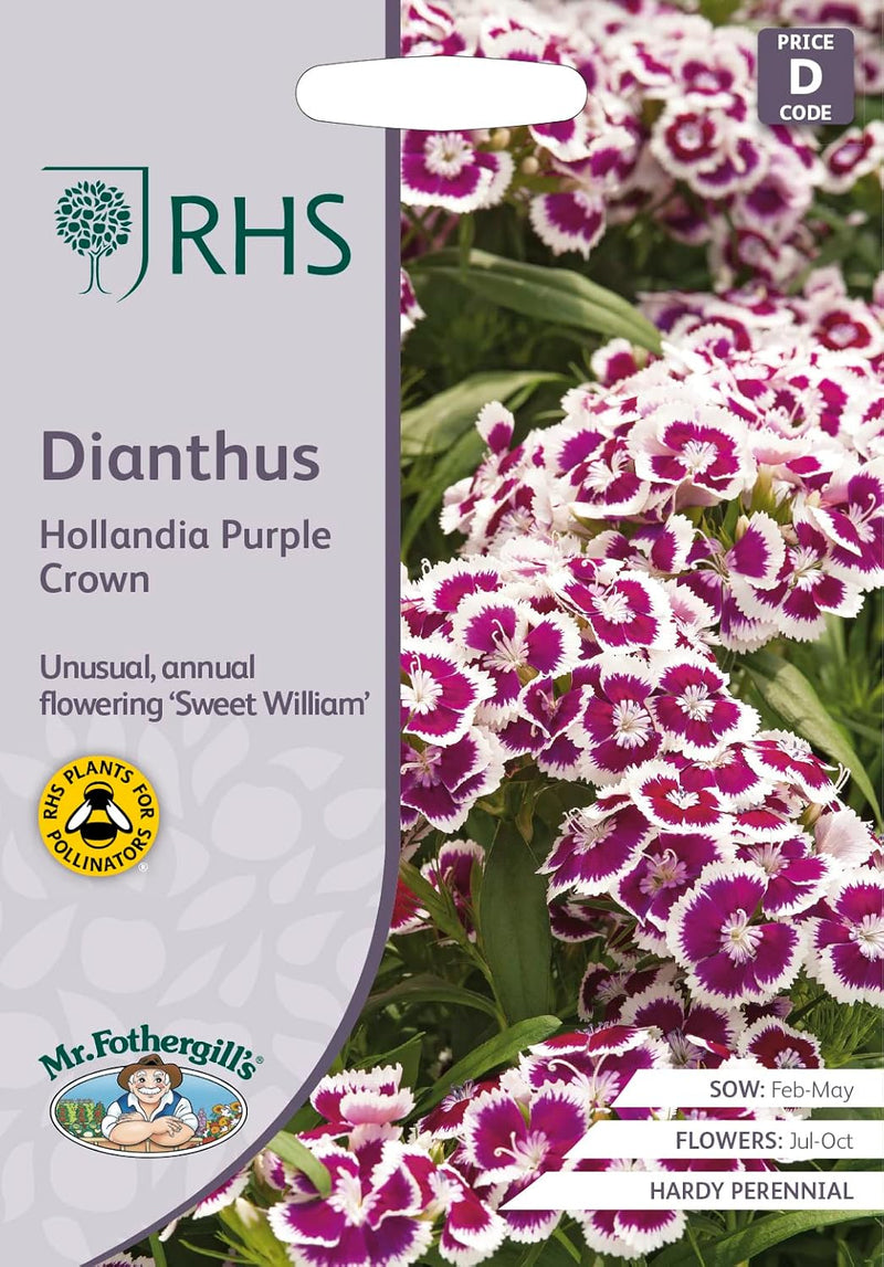 RHS Dianthus Hollandia Purple Crown Seeds 100 Seeds, Sweet William Hardy Perennial Flower | Flower Seeds | 5011775386966 5011775386966 | AllotMate Essentials