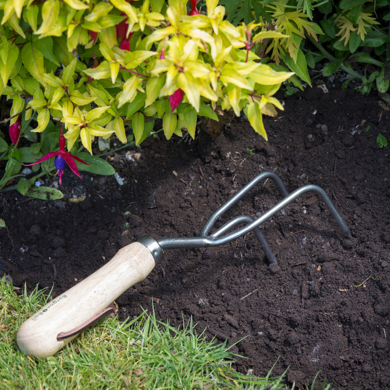 RHS Endorsed Stainless Steel Claw Cultivator by Burgon & Ball | Hand cultivator | GTH/SCCRHS 5019360008514 | AllotMate Essentials