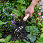 RHS Endorsed Stainless Steel Claw Cultivator by Burgon & Ball | Hand cultivator | GTH/SCCRHS 5019360008514 | AllotMate Essentials