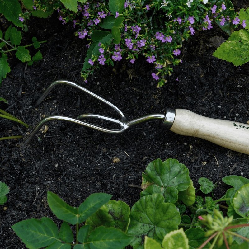RHS Endorsed Stainless Steel Claw Cultivator by Burgon & Ball | Hand cultivator | GTH/SCCRHS 5019360008514 | AllotMate Essentials