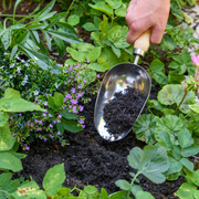 RHS Endorsed Stainless Steel Compost Scoop by Burgon & Ball | Compost Scoop | GTH/SCSRHS 5019360008422 | AllotMate Essentials