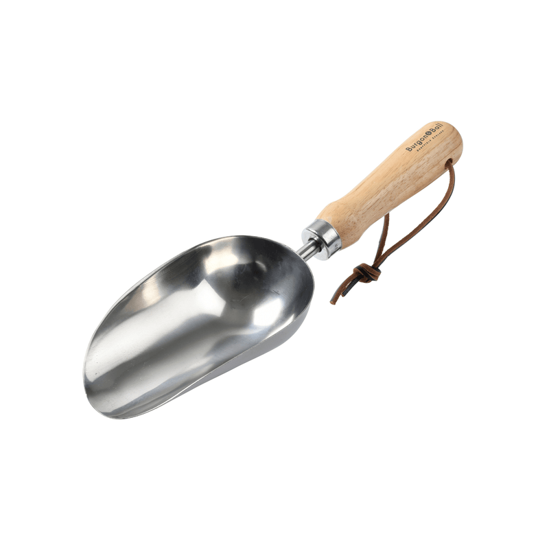 RHS Endorsed Stainless Steel Compost Scoop by Burgon & Ball | Compost Scoop | GTH/SCSRHS 5019360008422 | AllotMate Essentials