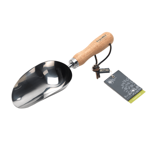 RHS Endorsed Stainless Steel Compost Scoop by Burgon & Ball | Compost Scoop | GTH/SCSRHS 5019360008422 | AllotMate Essentials