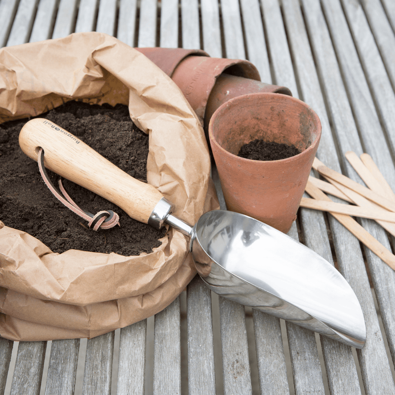 RHS Endorsed Stainless Steel Compost Scoop by Burgon & Ball | Compost Scoop | GTH/SCSRHS 5019360008422 | AllotMate Essentials