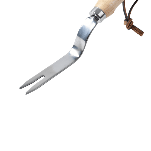 RHS Endorsed Stainless Steel Daisy Grubber by Burgon & Ball | Hand weeding tool | GTH/SDGRHS 5019360008477 | AllotMate Essentials