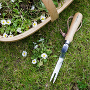 RHS Endorsed Stainless Steel Daisy Grubber by Burgon & Ball | Hand weeding tool | GTH/SDGRHS 5019360008477 | AllotMate Essentials