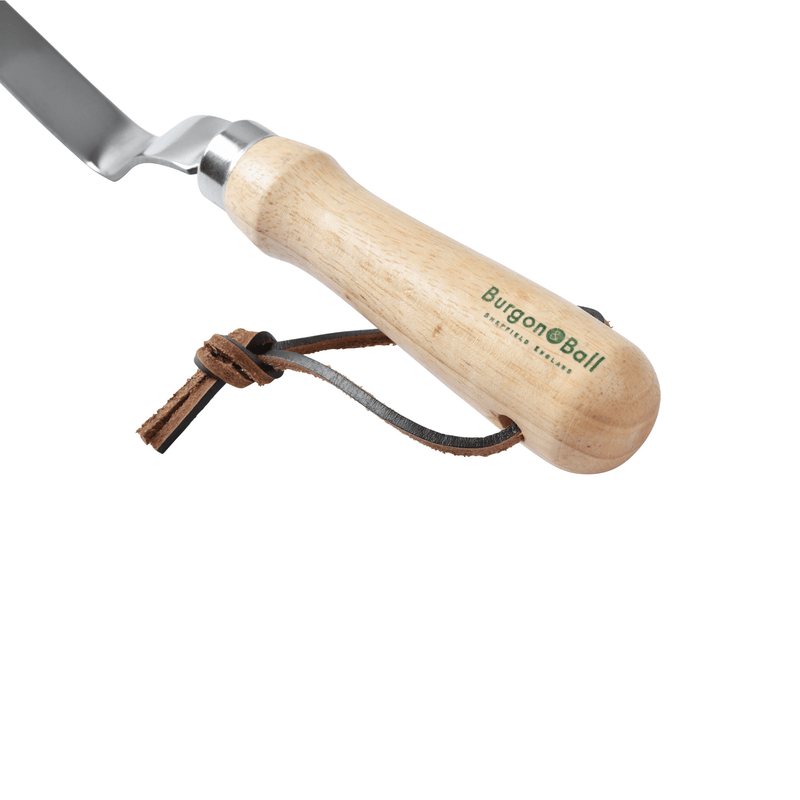 RHS Endorsed Stainless Steel Daisy Grubber by Burgon & Ball | Hand weeding tool | GTH/SDGRHS 5019360008477 | AllotMate Essentials