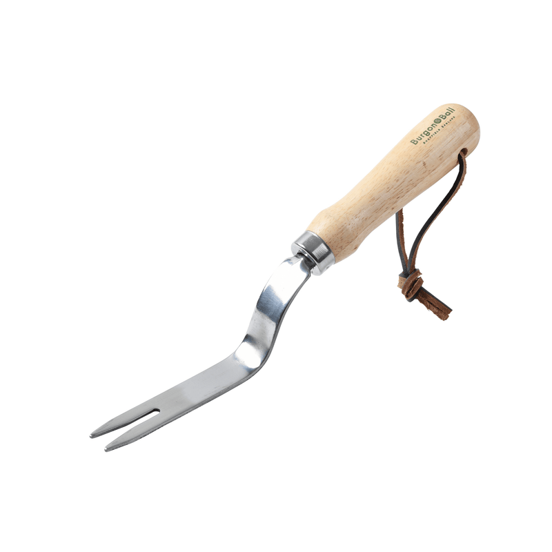 RHS Endorsed Stainless Steel Daisy Grubber by Burgon & Ball | Hand weeding tool | GTH/SDGRHS 5019360008477 | AllotMate Essentials