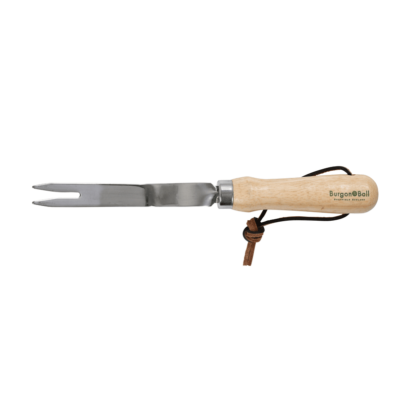 RHS Endorsed Stainless Steel Daisy Grubber by Burgon & Ball | Hand weeding tool | GTH/SDGRHS 5019360008477 | AllotMate Essentials