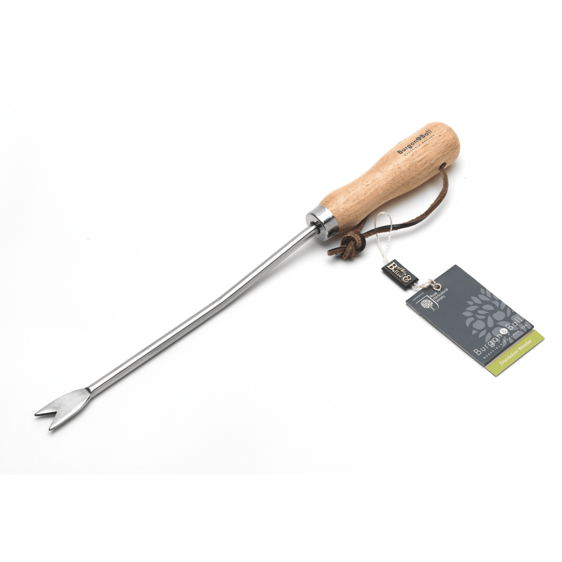 RHS Endorsed Stainless Steel Dandelion Weeder by Burgon & Ball | Hand weeding tool | GTH/SDWRHS 5019360008545 | AllotMate Essentials