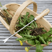 RHS Endorsed Stainless Steel Dandelion Weeder by Burgon & Ball | Hand weeding tool | GTH/SDWRHS 5019360008545 | AllotMate Essentials