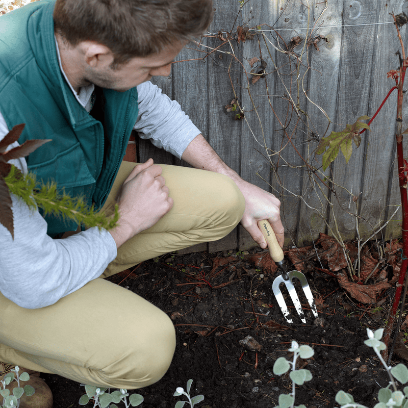 RHS Endorsed Stainless Steel Hand Fork by Burgon & Ball | Hand fork | GTH/SHFRHS 5019360008484 | AllotMate Essentials