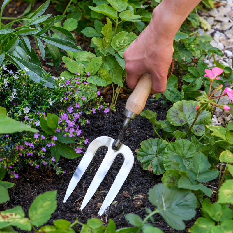 RHS Endorsed Stainless Steel Hand Fork by Burgon & Ball | Hand fork | GTH/SHFRHS 5019360008484 | AllotMate Essentials