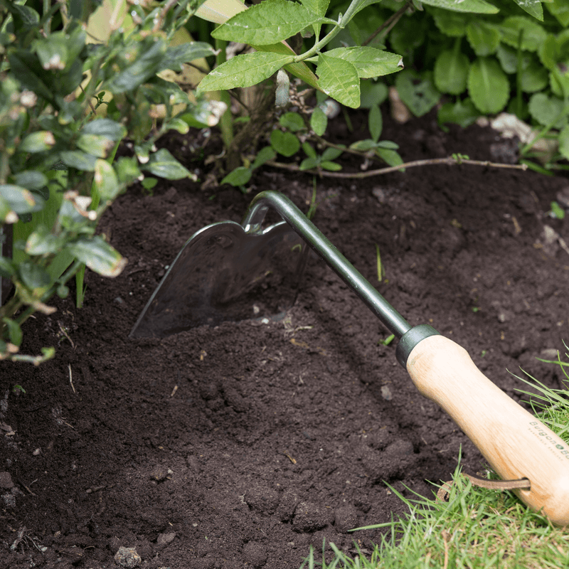 RHS Endorsed Stainless Steel Hand Hoe by Burgon & Ball | Hand hoe | GTH/SOHRHS 5019360008507 | AllotMate Essentials