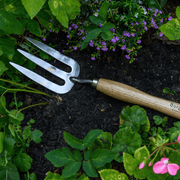 RHS Endorsed Stainless Steel Mid Handled Fork by Burgon & Ball | Mid handled hand fork | GTH/SHFMHRHS 5019360008590 | AllotMate Essentials