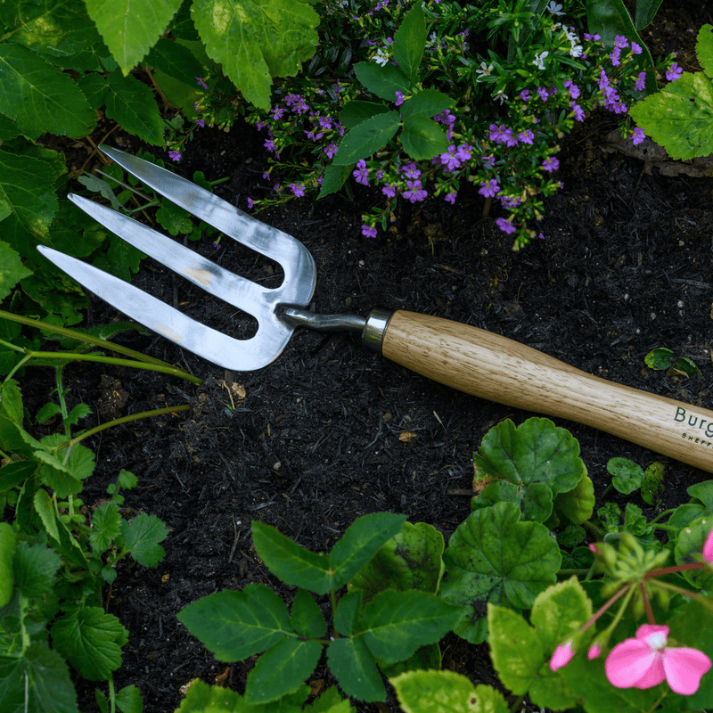 RHS Endorsed Stainless Steel Mid Handled Fork by Burgon & Ball | Mid handled hand fork | GTH/SHFMHRHS 5019360008590 | AllotMate Essentials