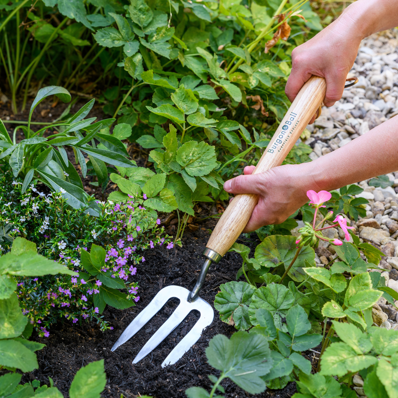 RHS Endorsed Stainless Steel Mid Handled Fork by Burgon & Ball | Mid handled hand fork | GTH/SHFMHRHS 5019360008590 | AllotMate Essentials