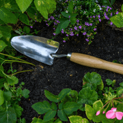 RHS Endorsed Stainless Steel Mid Handled Trowel by Burgon & Ball | Mid handled garden trowel | GTH/SHTMHRHS 5019360008583 | AllotMate Essentials