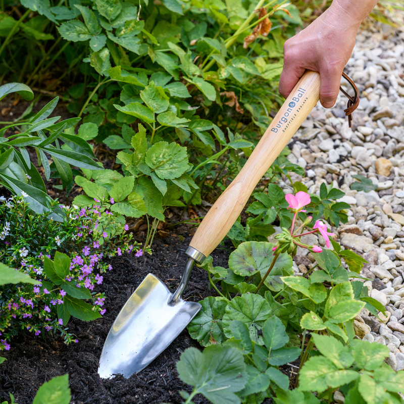 RHS Endorsed Stainless Steel Mid Handled Trowel by Burgon & Ball | Mid handled garden trowel | GTH/SHTMHRHS 5019360008583 | AllotMate Essentials
