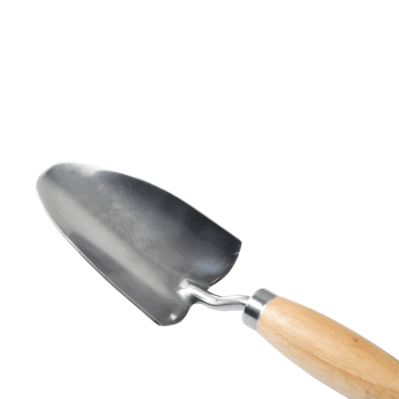 RHS Endorsed Stainless Steel Mid Handled Trowel by Burgon & Ball | Mid handled garden trowel | GTH/SHTMHRHS 5019360008583 | AllotMate Essentials