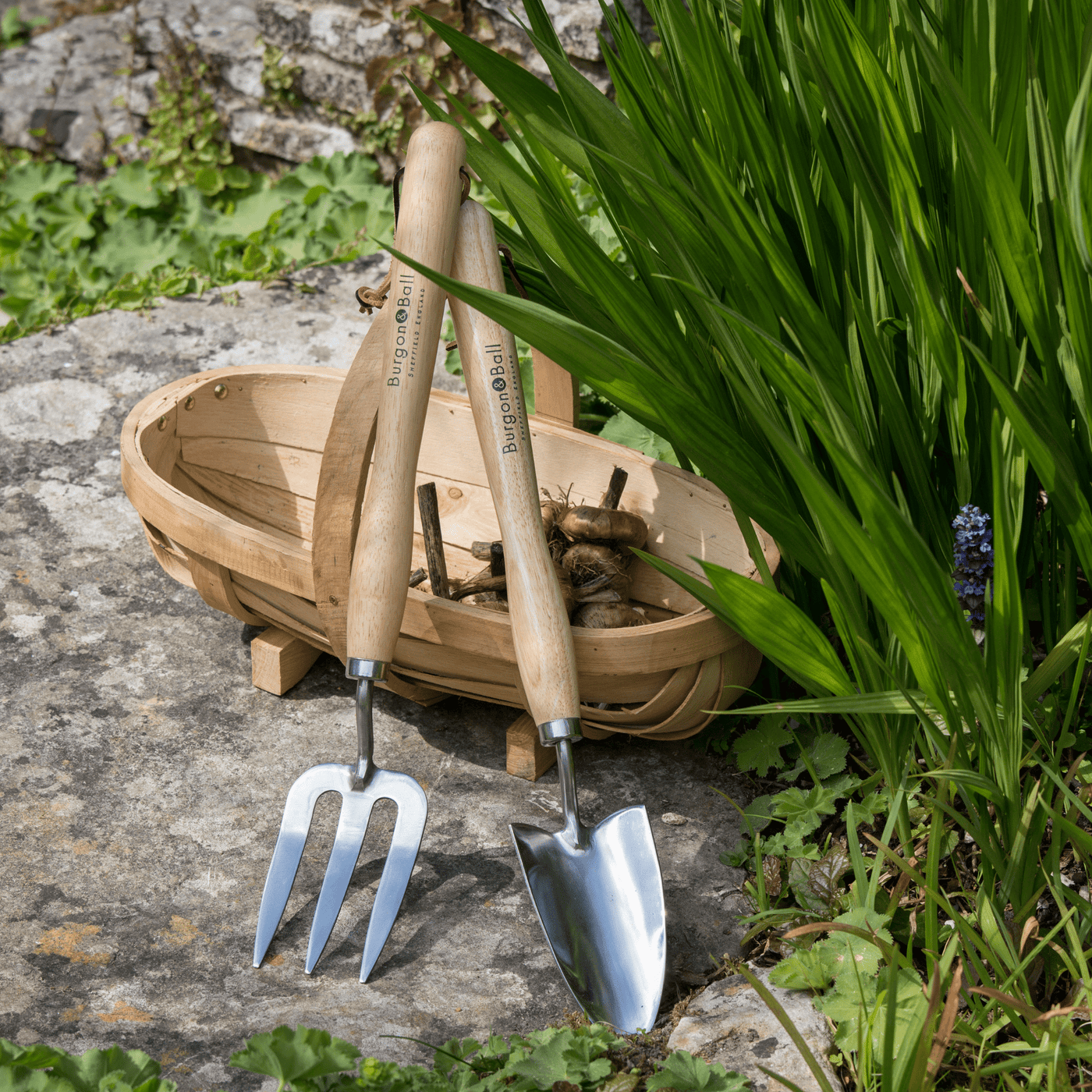 RHS Endorsed Stainless Steel Mid Handled Trowel by Burgon & Ball | Mid handled garden trowel | GTH/SHTMHRHS 5019360008583 | AllotMate Essentials