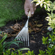 RHS Endorsed Stainless Steel Shrub Rake by Burgon & Ball | Hand rake | GTH/SSRRHS 5019360008538 | AllotMate Essentials