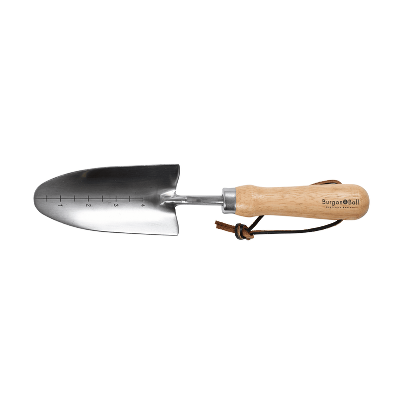 RHS Endorsed Stainless Steel Transplanter by Burgon & Ball | Hand transplanter | GTH/STPRHS 5019360008415 | AllotMate Essentials