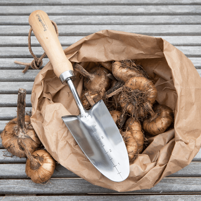 RHS Endorsed Stainless Steel Transplanter by Burgon & Ball | Hand transplanter | GTH/STPRHS 5019360008415 | AllotMate Essentials