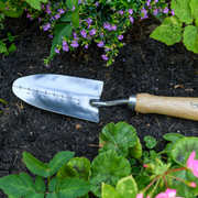 RHS Endorsed Stainless Steel Transplanter by Burgon & Ball | Hand transplanter | GTH/STPRHS 5019360008415 | AllotMate Essentials