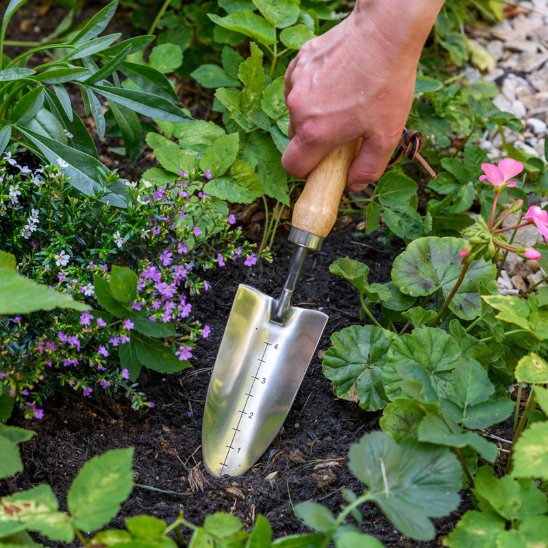 RHS Endorsed Stainless Steel Transplanter by Burgon & Ball | Hand transplanter | GTH/STPRHS 5019360008415 | AllotMate Essentials
