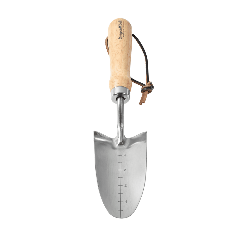 RHS Endorsed Stainless Steel Transplanter by Burgon & Ball | Hand transplanter | GTH/STPRHS 5019360008415 | AllotMate Essentials
