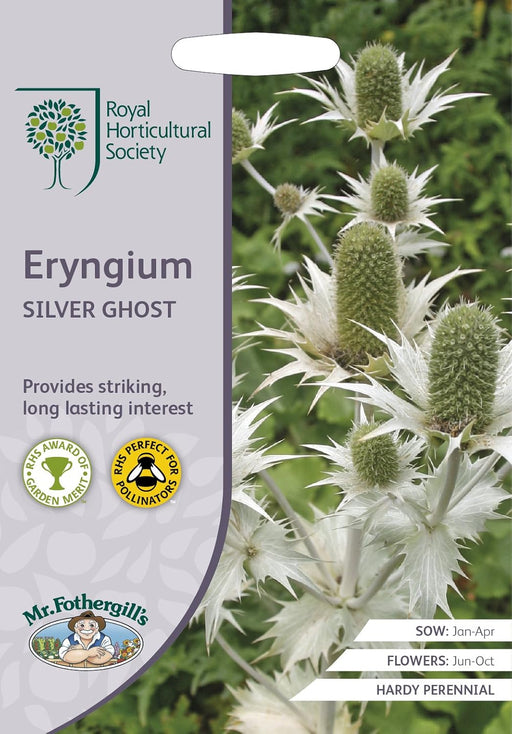 RHS Eryngium Silver Ghost Seeds 50 Seeds, Hardy Perennial Sea Holly | Flower Seeds | 5011775274140 5011775274140 | AllotMate Essentials