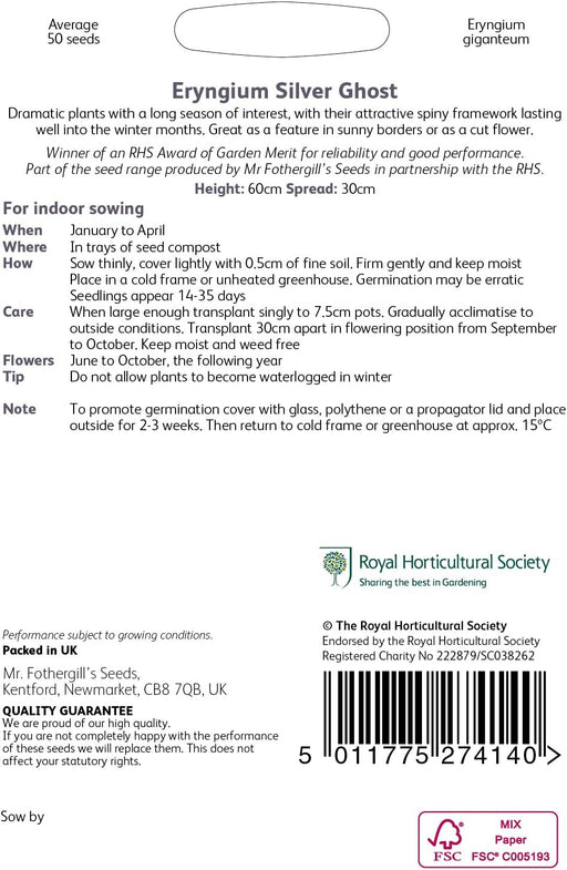 RHS Eryngium Silver Ghost Seeds 50 Seeds, Hardy Perennial Sea Holly | Flower Seeds | 5011775274140 5011775274140 | AllotMate Essentials