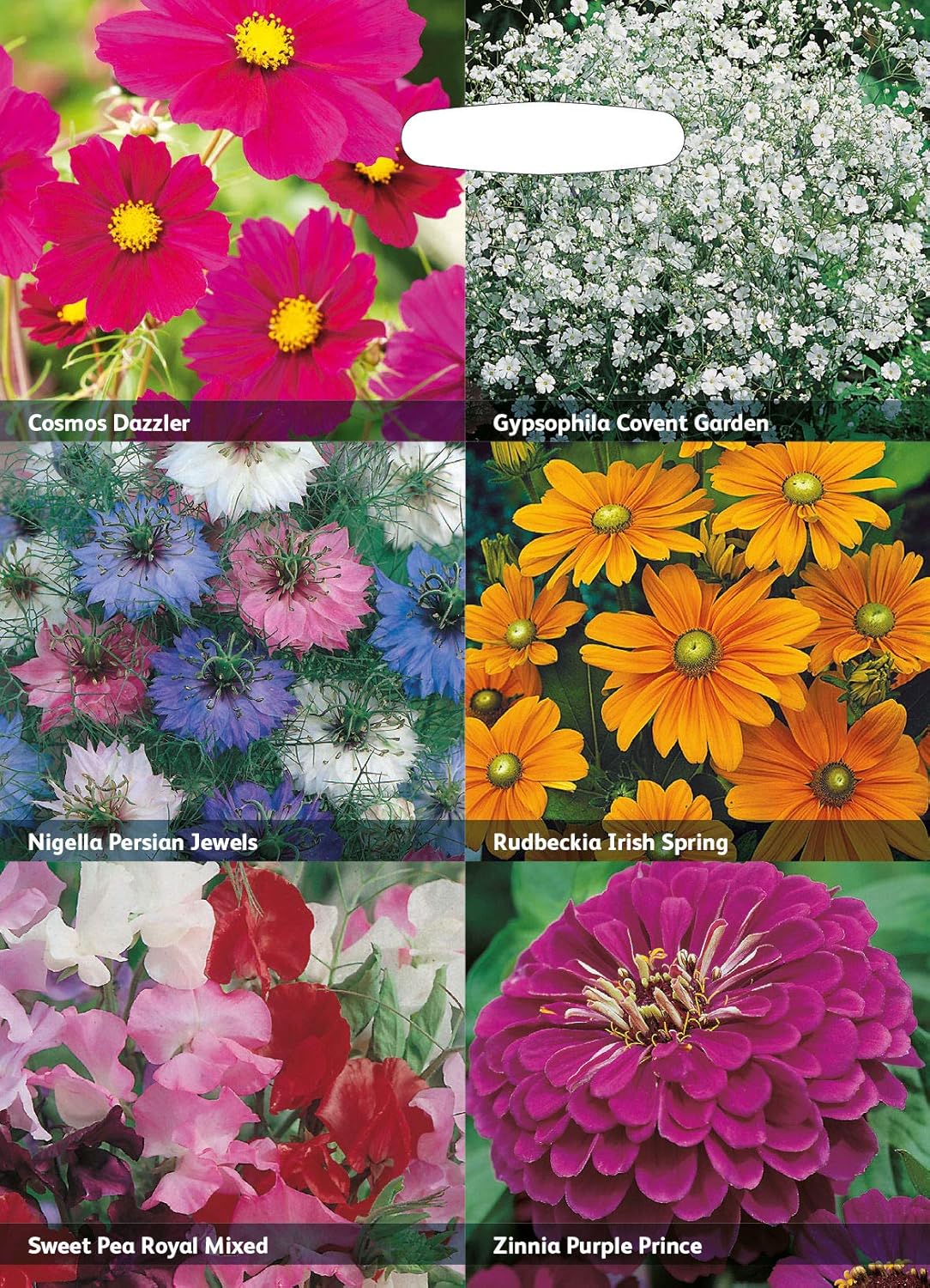 RHS Flowers for Cutting – Grow Your Own Cut Flower Garden | Mr ...