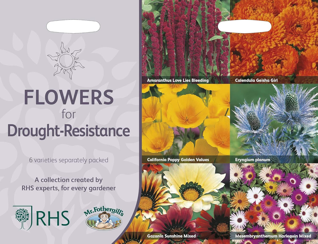 RHS Flowers for Drought Resistance Seed Collection 6 Heat Tolerant Varieties | Flower Seeds | 5011775290379 5011775290379 | AllotMate Essentials