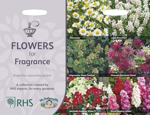 RHS Flowers for Fragrance Seed Collection 6 Scented Varieties | Flower Seeds | 5011775290393 5011775290393 | AllotMate Essentials