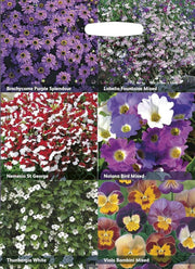 RHS Flowers for Hanging Baskets Seed Collection 6 Trailing Varieties | Flower Seeds | 5011775290409 5011775290409 | AllotMate Essentials