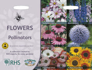 RHS Flowers for Pollinators Seed Collection 6 Bee Friendly Varieties | Flower Seeds | 5011775290416 5011775290416 | AllotMate Essentials