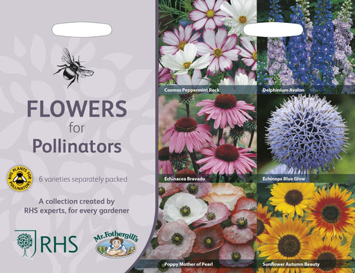 RHS Flowers for Pollinators Seed Collection 6 Bee Friendly Varieties | Flower Seeds | 5011775290416 5011775290416 | AllotMate Essentials