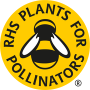 RHS Flowers for Pollinators – Wildlife - Friendly Seed Mix | Mr Fothergill’s | Flower Seeds | 30221 5011775290416 | AllotMate Essentials
