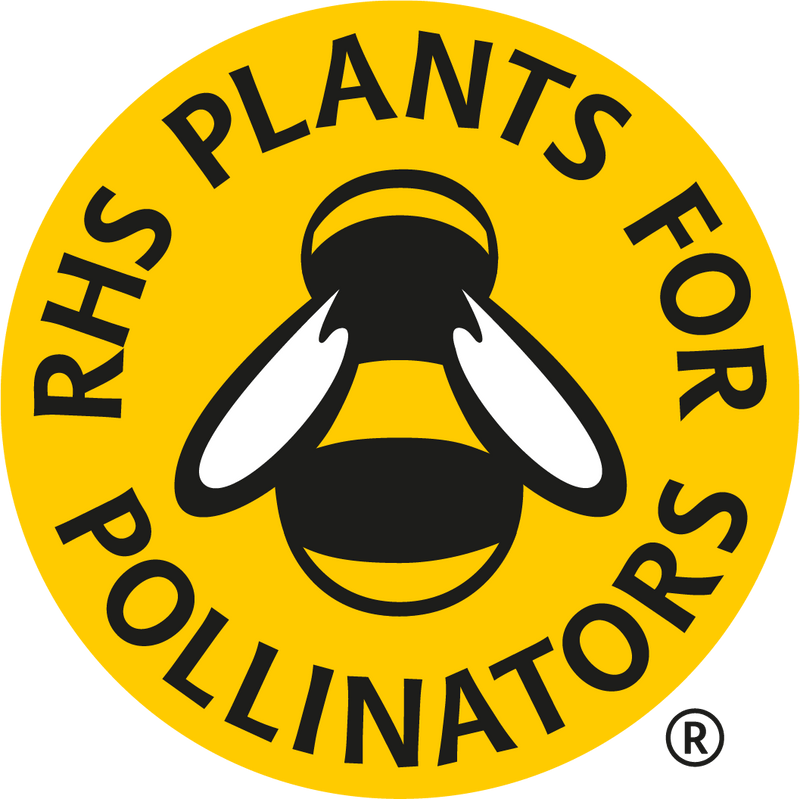 RHS Flowers for Pollinators – Wildlife - Friendly Seed Mix | Mr Fothergill’s | Flower Seeds | 30221 5011775290416 | AllotMate Essentials